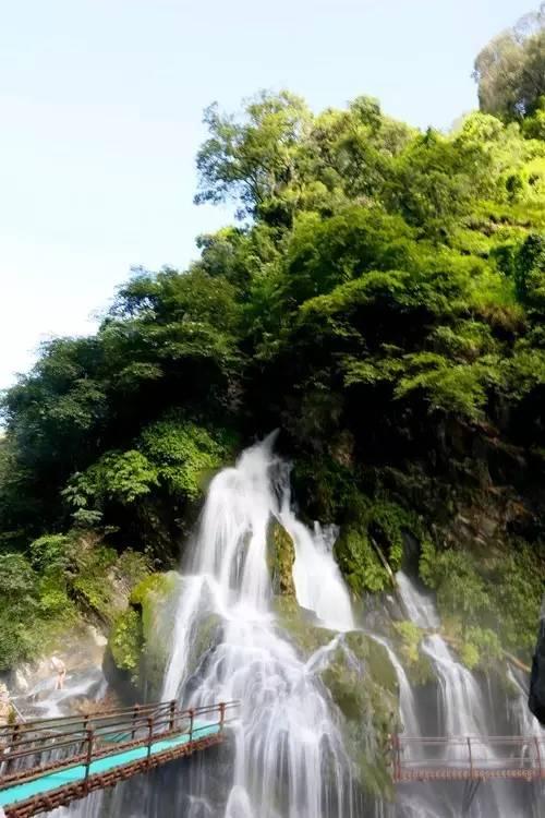 海口市美兰区政协委员崔茂毅:因地制宜发展东寨港红树林观鸟旅游产业